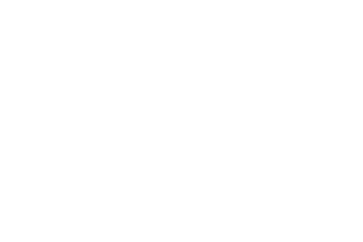 Agile flexible support